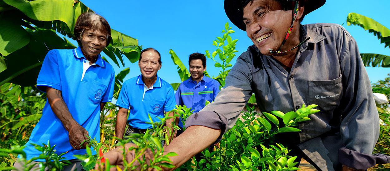 เครือข่ายตำบลมิตรผลร่วมพัฒนา MITR PHOL COMMUNITY DEVELOPMENT NETWORK