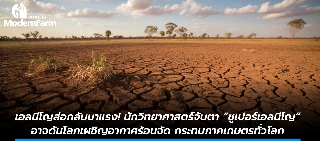 เอลนีโญส่อกลับมาแรง! นักวิทยาศาสตร์จับตา “ซูเปอร์เอลนีโญ” อาจดันโลกเผชิญอากาศร้อนจัด กระทบภาคเกษตรทั่วโลก