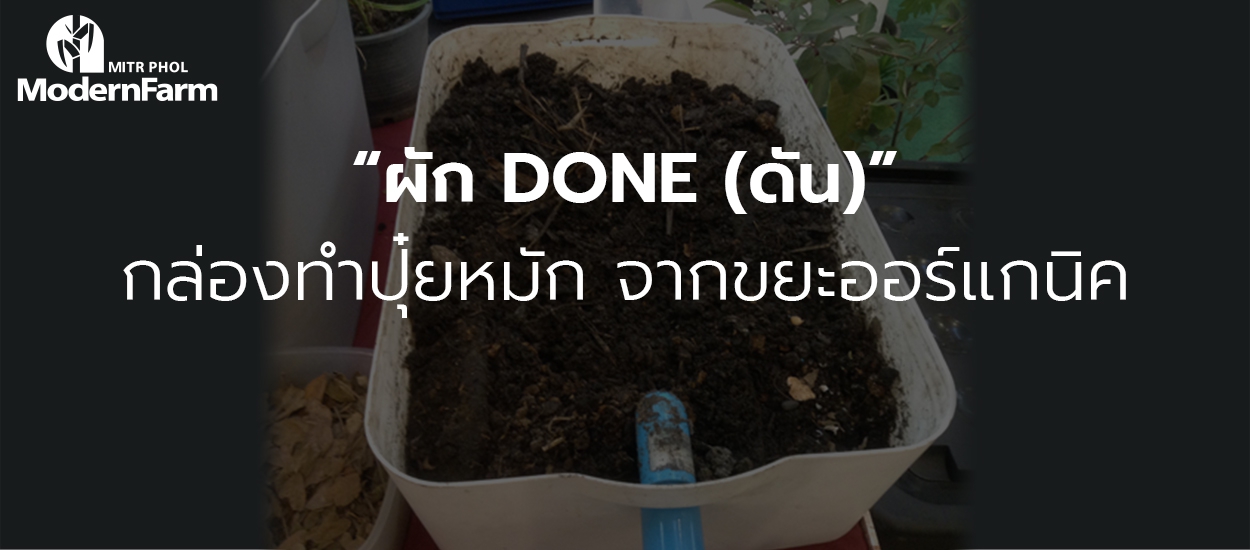 “ผัก Done (ดัน)” กล่องทำปุ๋ยหมัก จากขยะออร์แกนิค