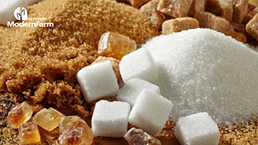 อินเดียเริ่มจำกัดการส่งออกน้ำตาลวันนี้ หวังแก้ปัญหาราคาแพง