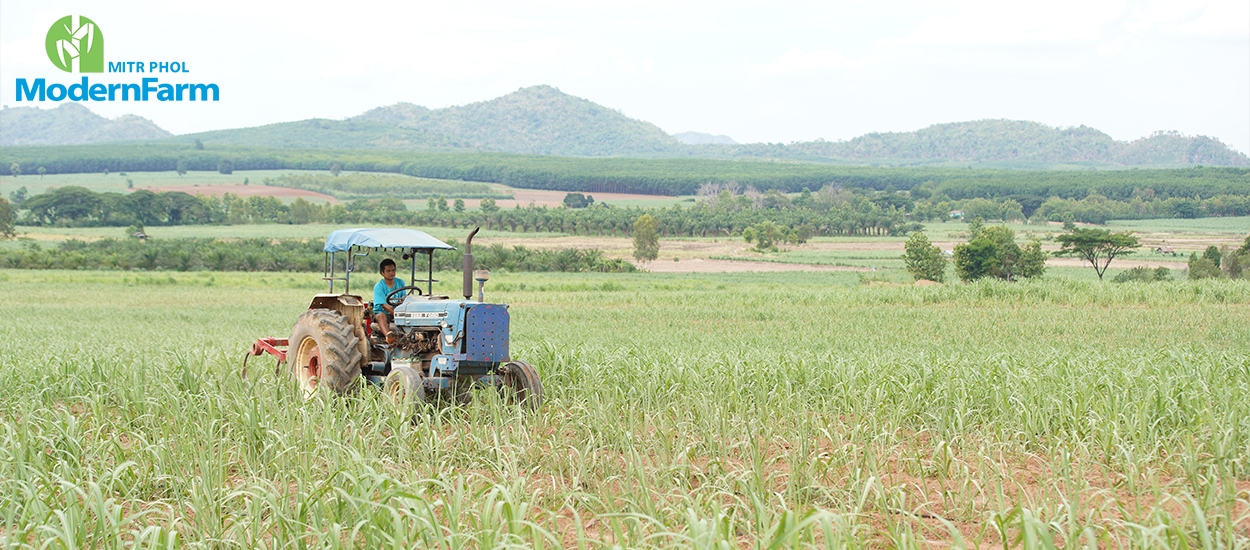 โครงการ 1 ตำบล 1 กลุ่มเกษตรทฤษฎีใหม่