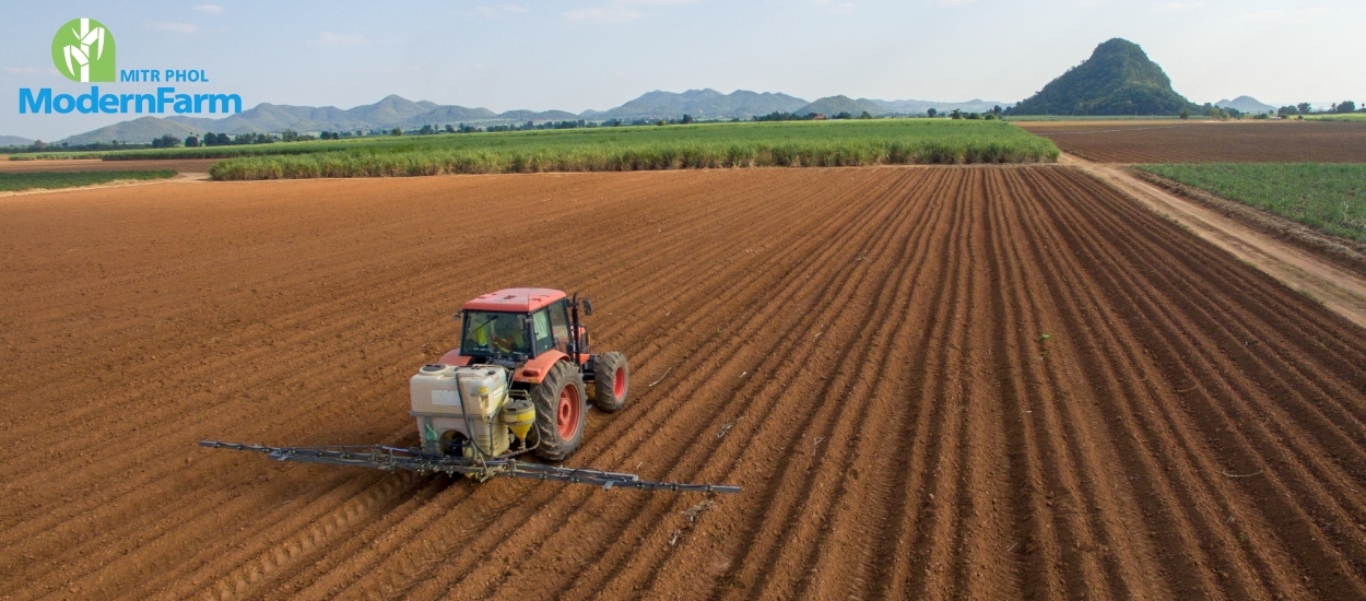 ดินดีคือก้าวแรกสู่ผลผลิตงาม