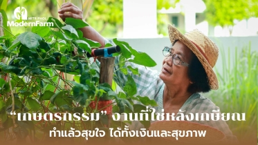 เกษตรกรรม งานที่ใช่หลังเกษียณ ทำแล้วสุขใจ ได้ทั้งเงินและสุขภาพ