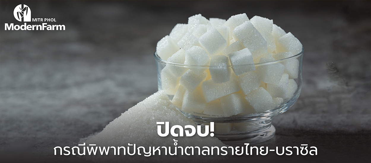 ปิดจบ! กรณีพิพาทปัญหาน้ำตาลทรายไทย-บราซิล