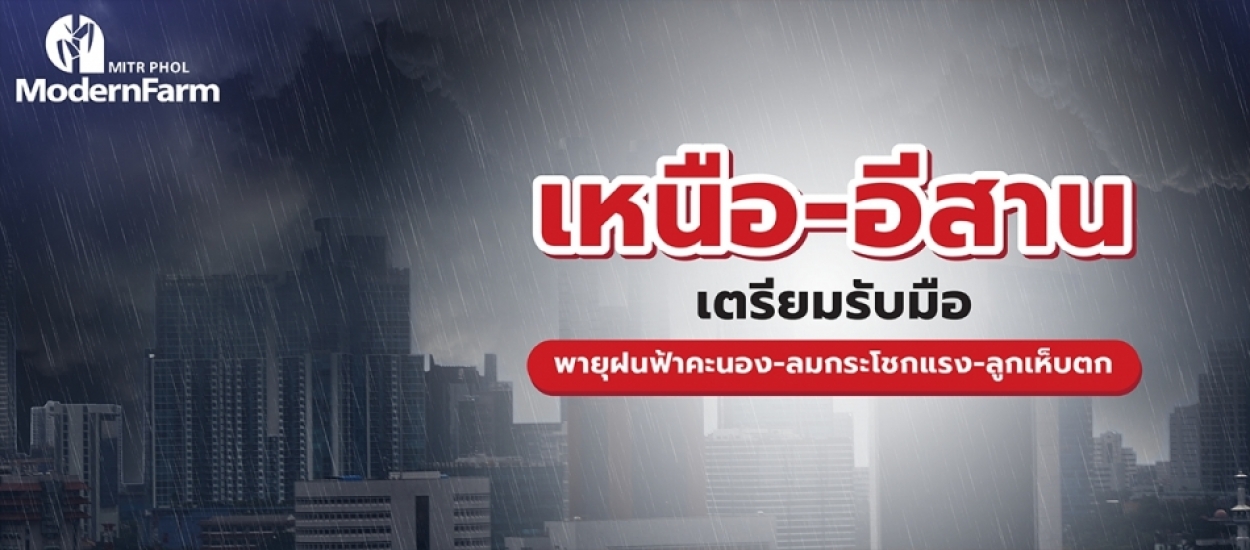 16-22 มี.ค. 65 นี้ พี่น้องชาวไร่ เหนือ-อีสาน เตรียมรับมือพายุฝนฟ้าคะนอง-ลมกระโชกแรง-ลูกเห็บตก