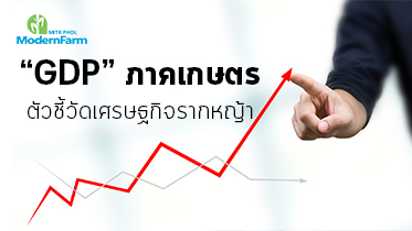 “GDP” ภาคเกษตร ตัวชี้วัดเศรษฐกิจรากหญ้า