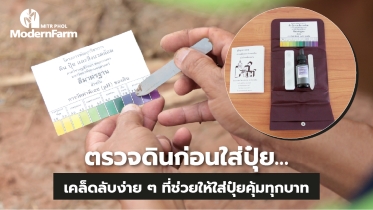 ตรวจดินก่อนใส่ปุ๋ย…เคล็ดลับง่าย ๆ ที่ช่วยให้ใส่ปุ๋ยคุ้มทุกบาท
