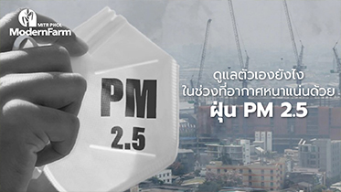 ดูแลตัวเองยังไงในช่วงที่อากาศหนาแน่นด้วย ฝุ่น PM 2.5