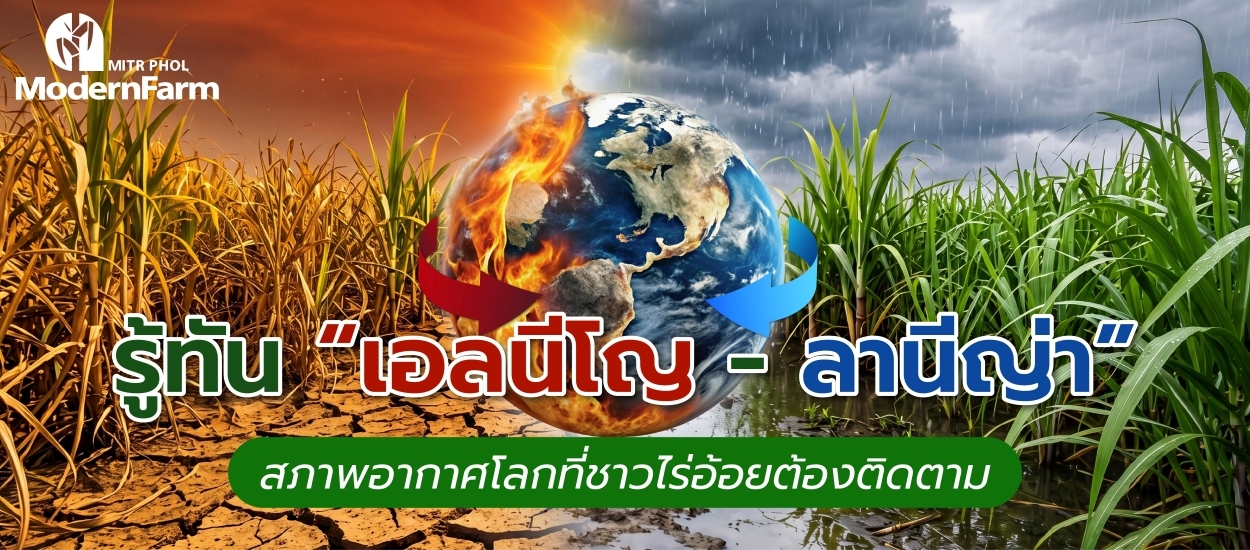 รู้ทัน เอลนีโญ - ลานีญ่า สภาพอากาศโลกที่ชาวไร่อ้อยต้องติดตาม