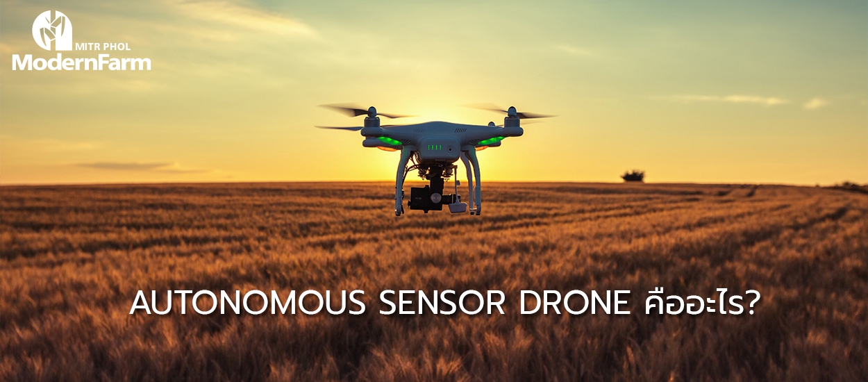 Autonomous Sensor Drone คืออะไร?