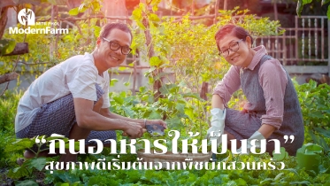 กินอาหารให้เป็นยา สุขภาพดีเริ่มต้นจากพืชผักสวนครัว