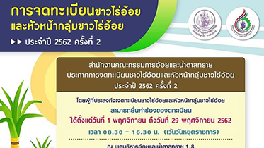 ชาวไร่อ้อยรีบขึ้นทะเบียนรับสิทธิ์มาตรการช่วยเหลือก่อน 29 พ.ย.นี้