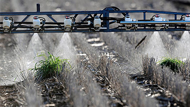 Weed Seeker Automatic Spot Spray System  เทคโนโลยีการตรวจจับวัชพืชในพื้นที่ ด้วยหลักการตรวจจับสีเขียวของพืช