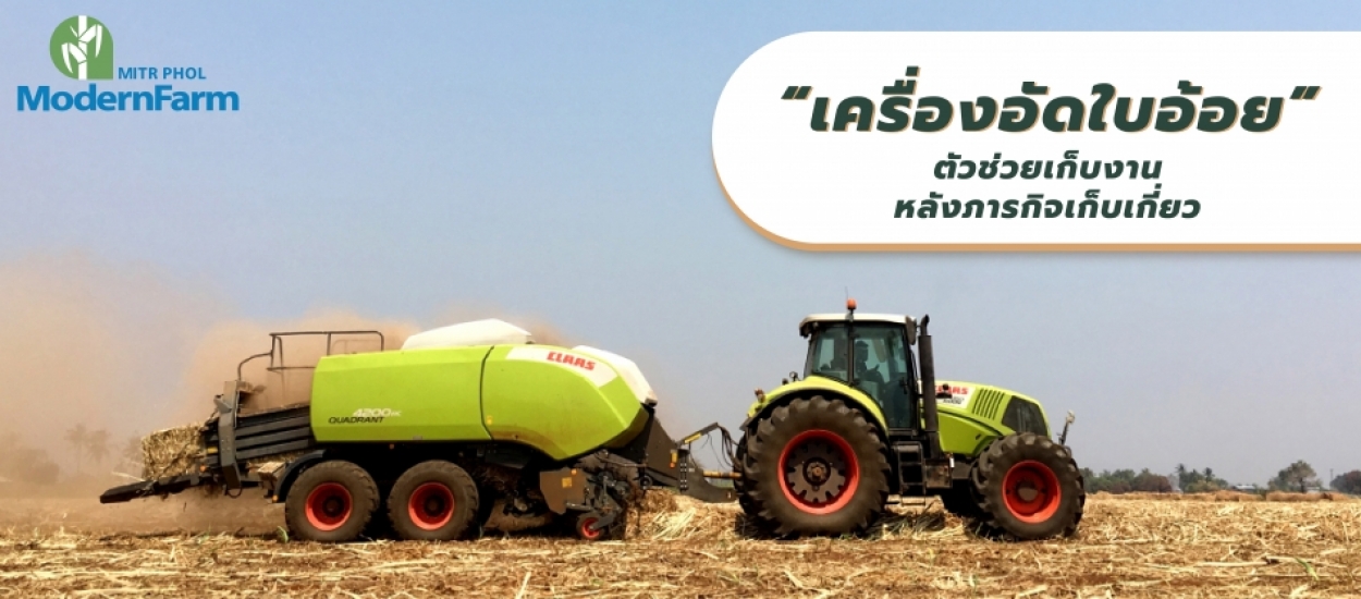 เครื่องอัดใบอ้อย ตัวช่วยเก็บงานหลังภารกิจเก็บเกี่ยว