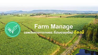 Farm manage แอปพลิเคชันที่จะช่วยให้คุณเป็น CEO ด้านการเกษตร