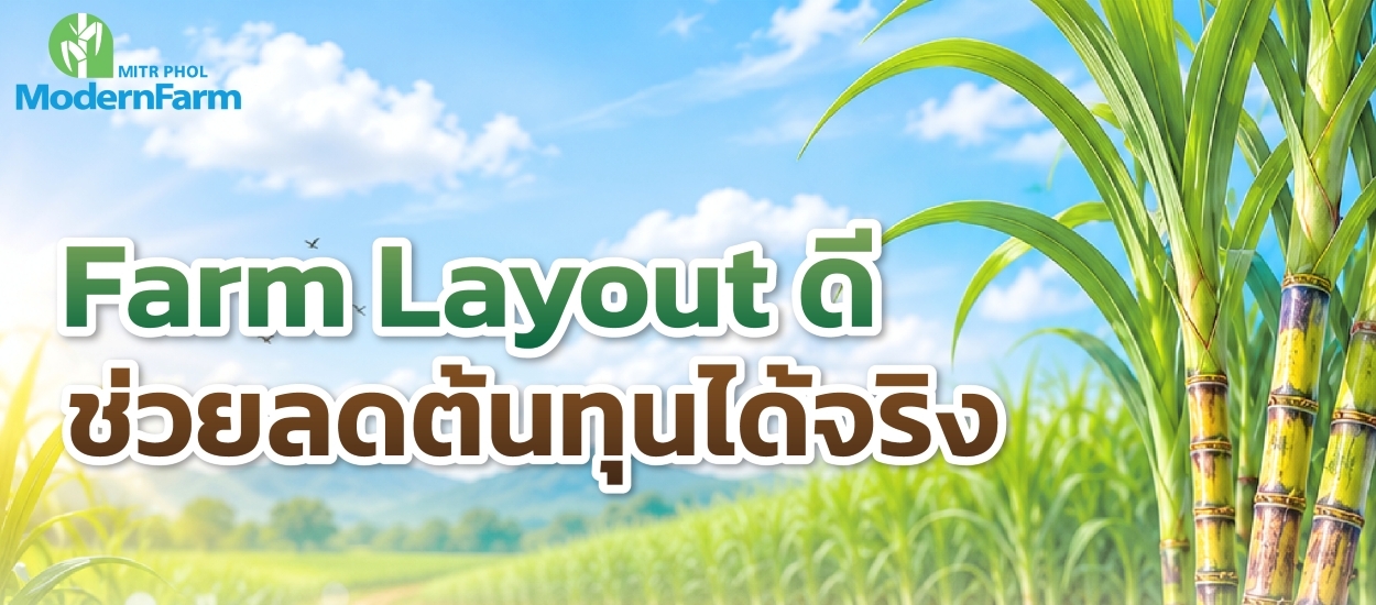 Farm Layout ดี ช่วยลดต้นทุนได้จริง