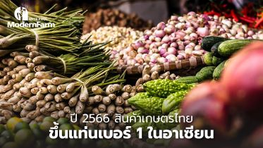 ปี 2566 สินค้าเกษตรไทยขึ้นแท่นเบอร์ 1 ในอาเซียน