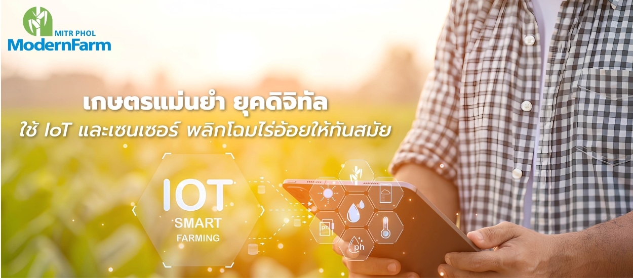 เกษตรแม่นยำ ยุคดิจิทัล: ใช้ IoT และเซนเซอร์ พลิกโฉมไร่อ้อยให้ทันสมัย